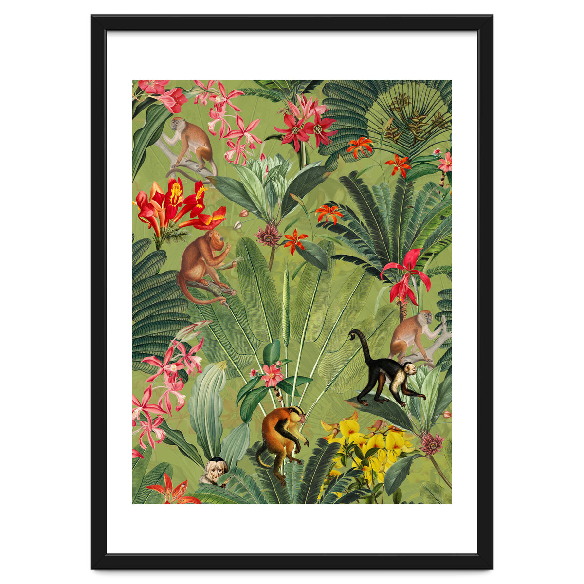 Monkeys In Tropical Jungle Paradise