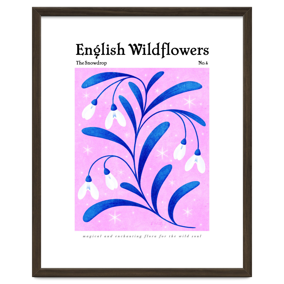 English Wildflowers | Snowdrops