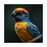 Close Up Colorful Parrot Perched On A Branch (Print Only) thumbnail