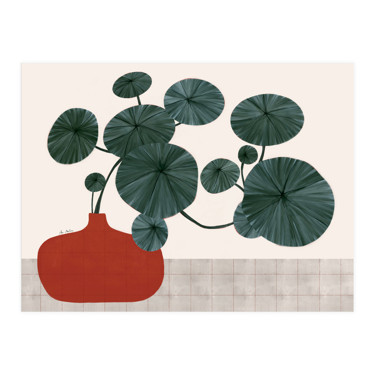 Stephonia Erecta plant (Print Only)