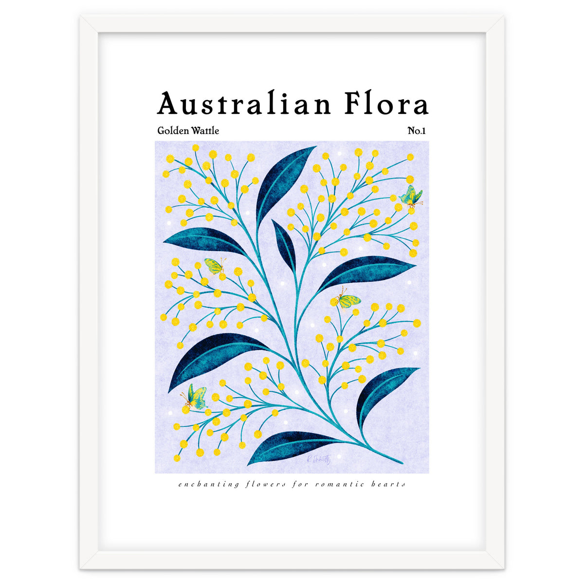 Australian Flora: Golden Wattle