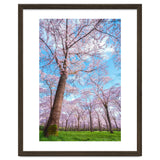 Spring in optima forma thumbnail
