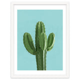 Blue Cactus 1 thumbnail