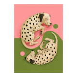Yin And Yang Dalmatians (Print Only) thumbnail