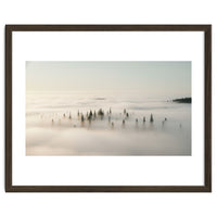Misty Peaks: Pine Forest Above the Clouds