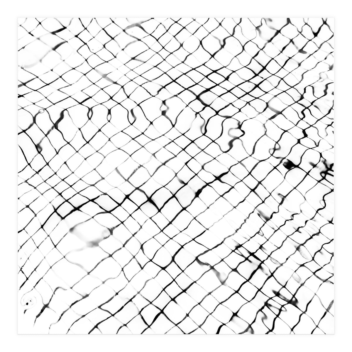 Reflection (Print Only)