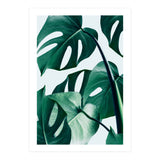 Monstera Tropical Photography Digital Art, Minimal Nature Jungle Botanical Leaves (Print Only) thumbnail