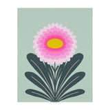 Chrysanthemum - turquoise and pink (Print Only) thumbnail