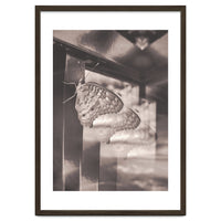 Evolving | Sepia