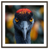 Close Up Of A Strikingly Beautiful Bird Face thumbnail