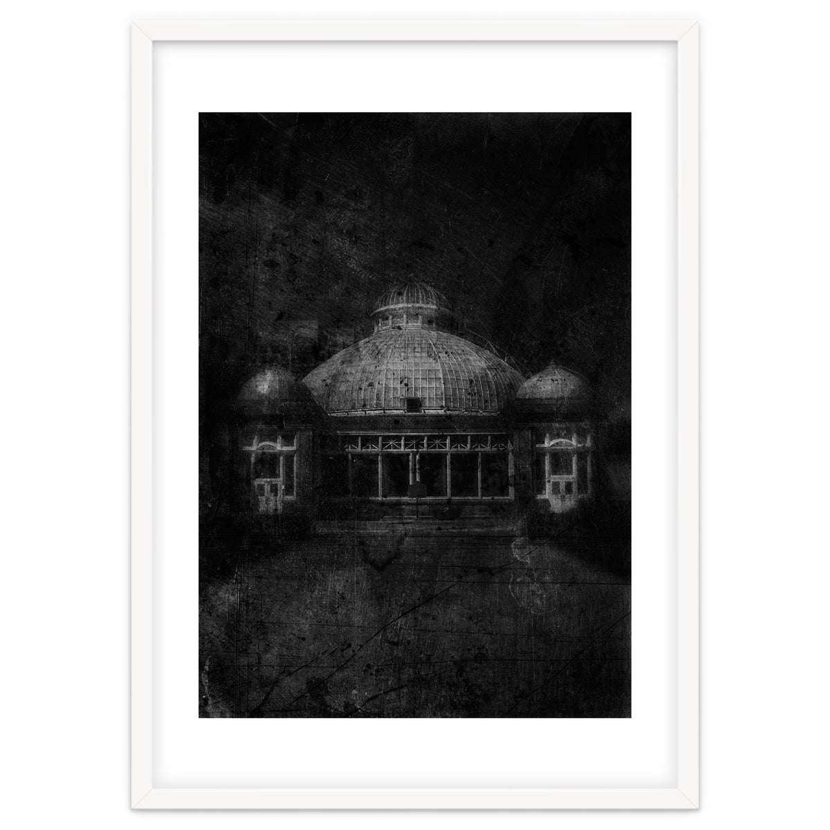 Allan Gardens Conservatory Palm House No 3 Old Film Version