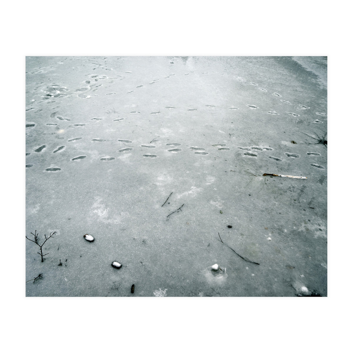 Frozen ice pond (Print Only)