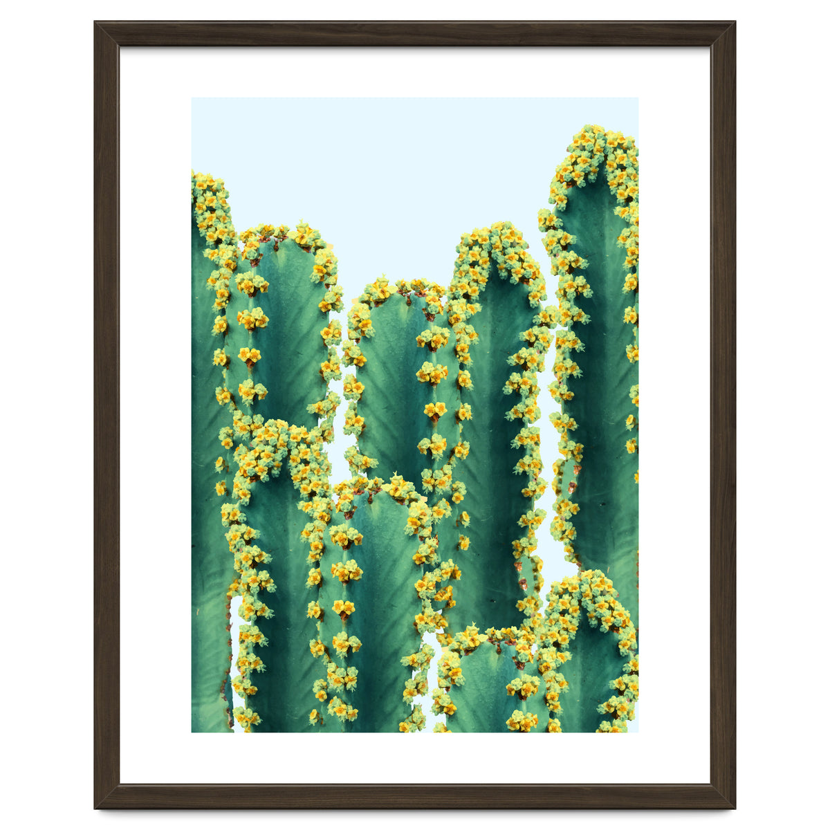 Adorned Cactus #society6 #artprints #buyart