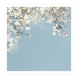 Symphony Blues (Print Only) thumbnail