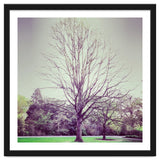 Tree Of Dreams thumbnail
