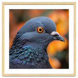 Close Up Of A Pigeon's Head And Neck thumbnail