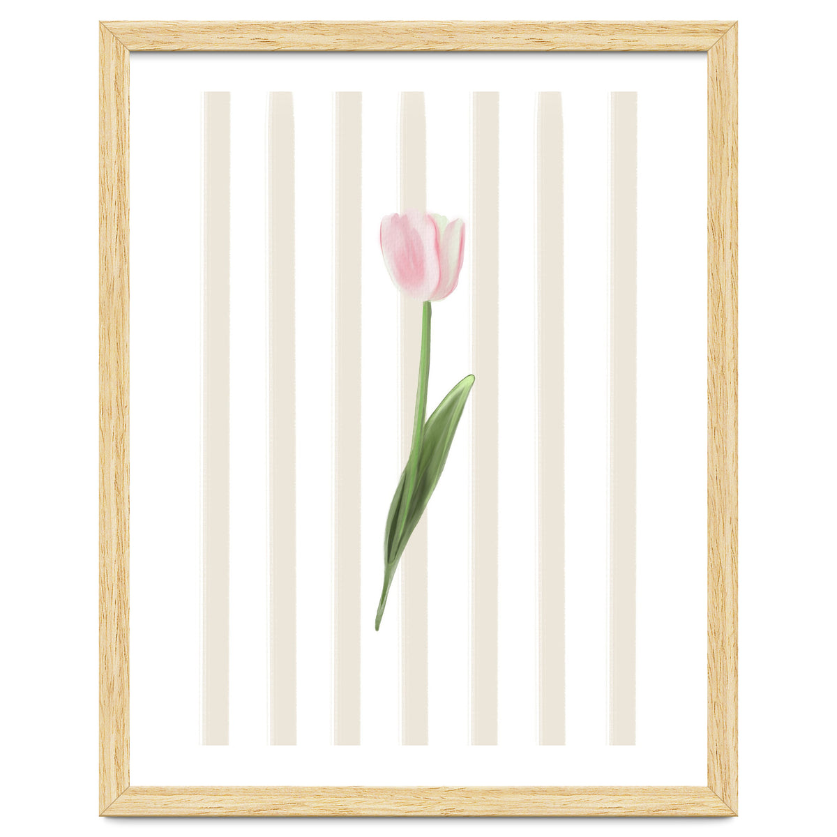 Single Tulip