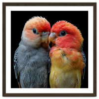 Two Lovebirds Nuzzle Together