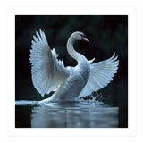 Majestic White Swan Spreading Wings On Water (Print Only) thumbnail