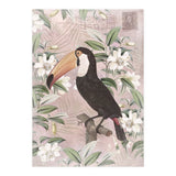Exotic Bird Toucan (Print Only) thumbnail