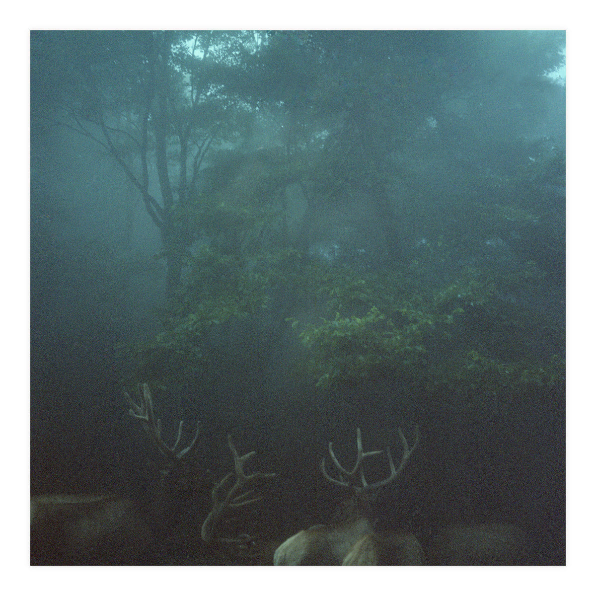 Silence of breath - 12 (Print Only)