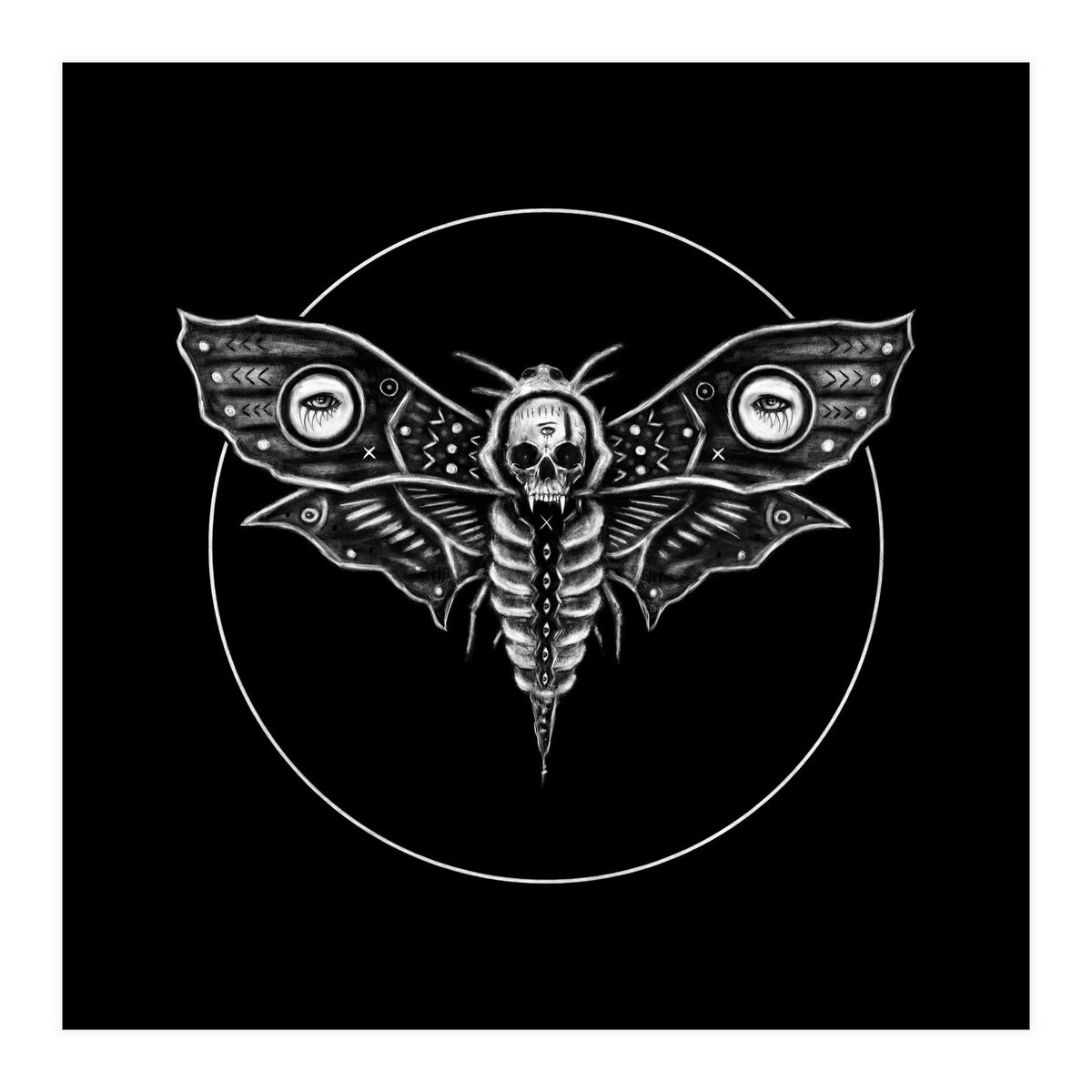 Deaths Head Moth (Print Only)