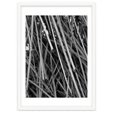 Black Tectorius Plant Shoots Art thumbnail