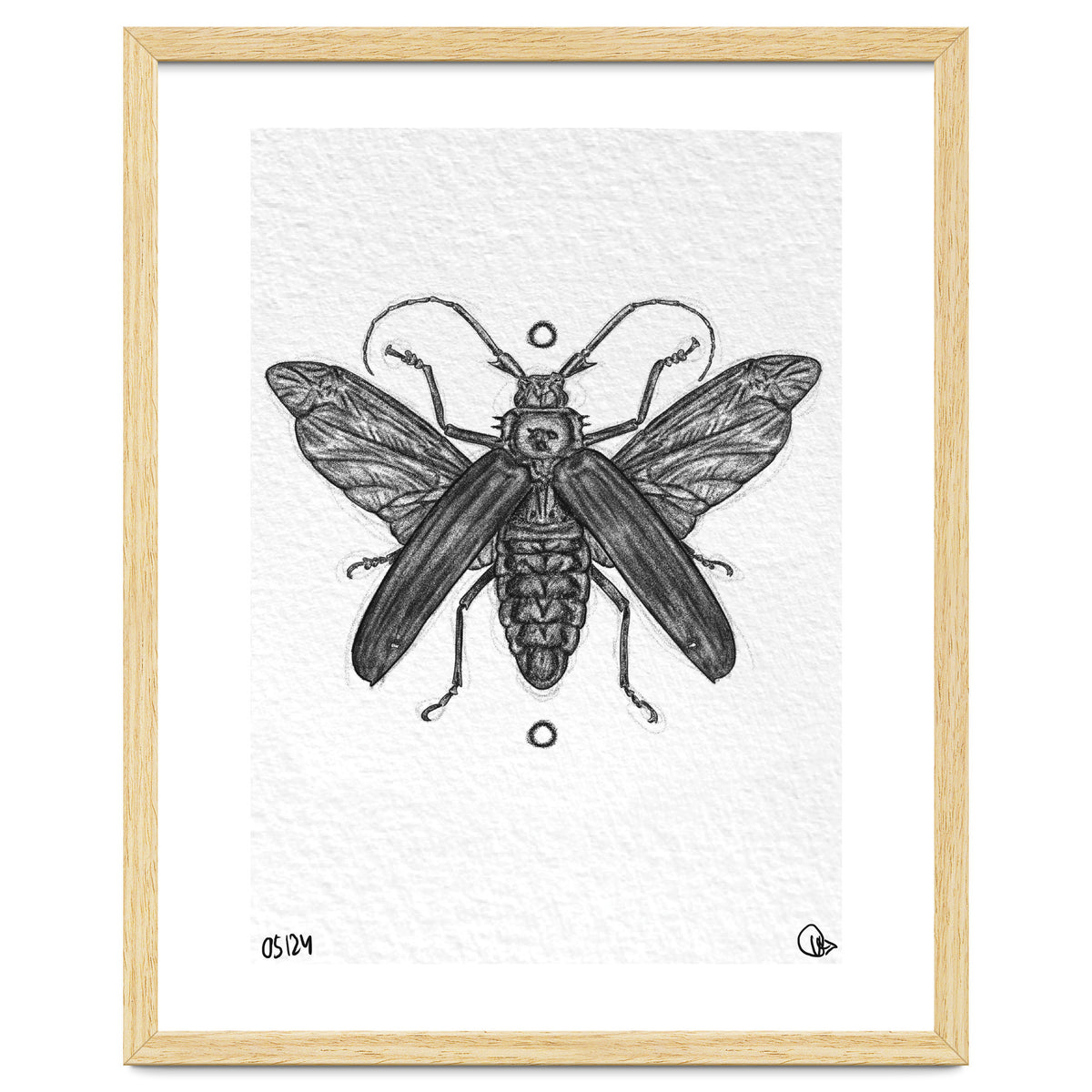 Riesen Longhorn Käfer