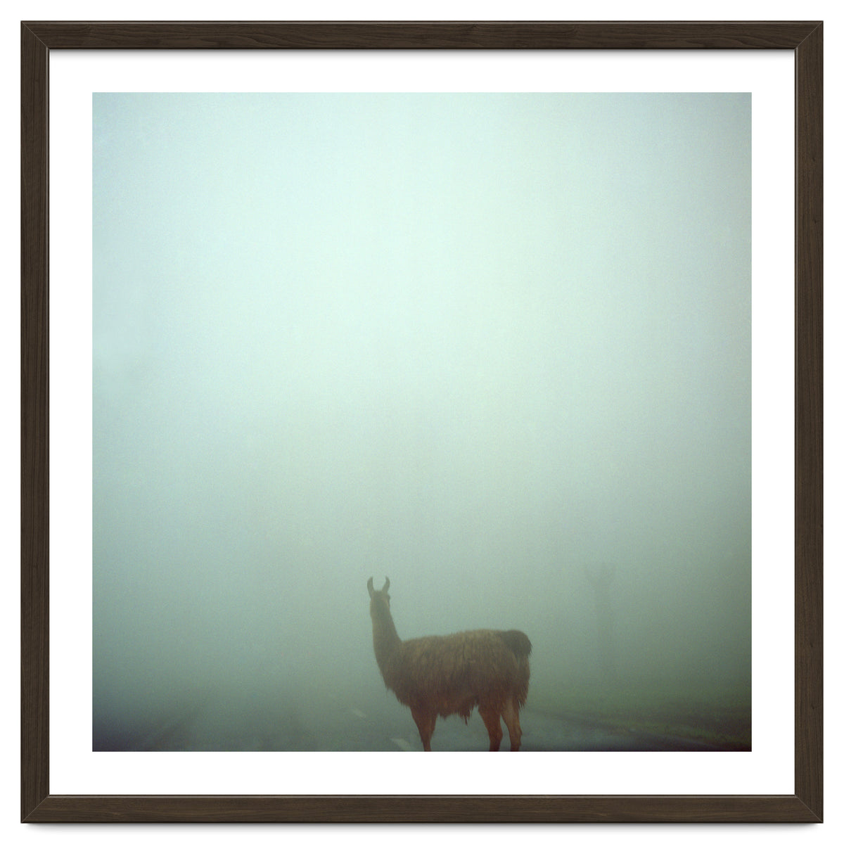 Silence of breath - 04