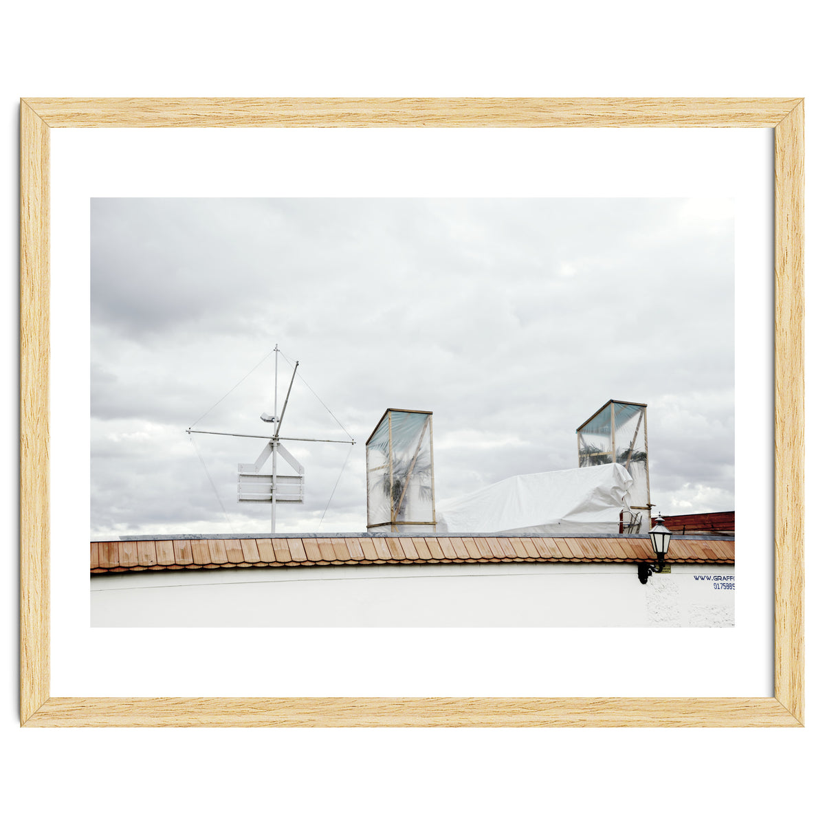 Palm tree waiting for summer