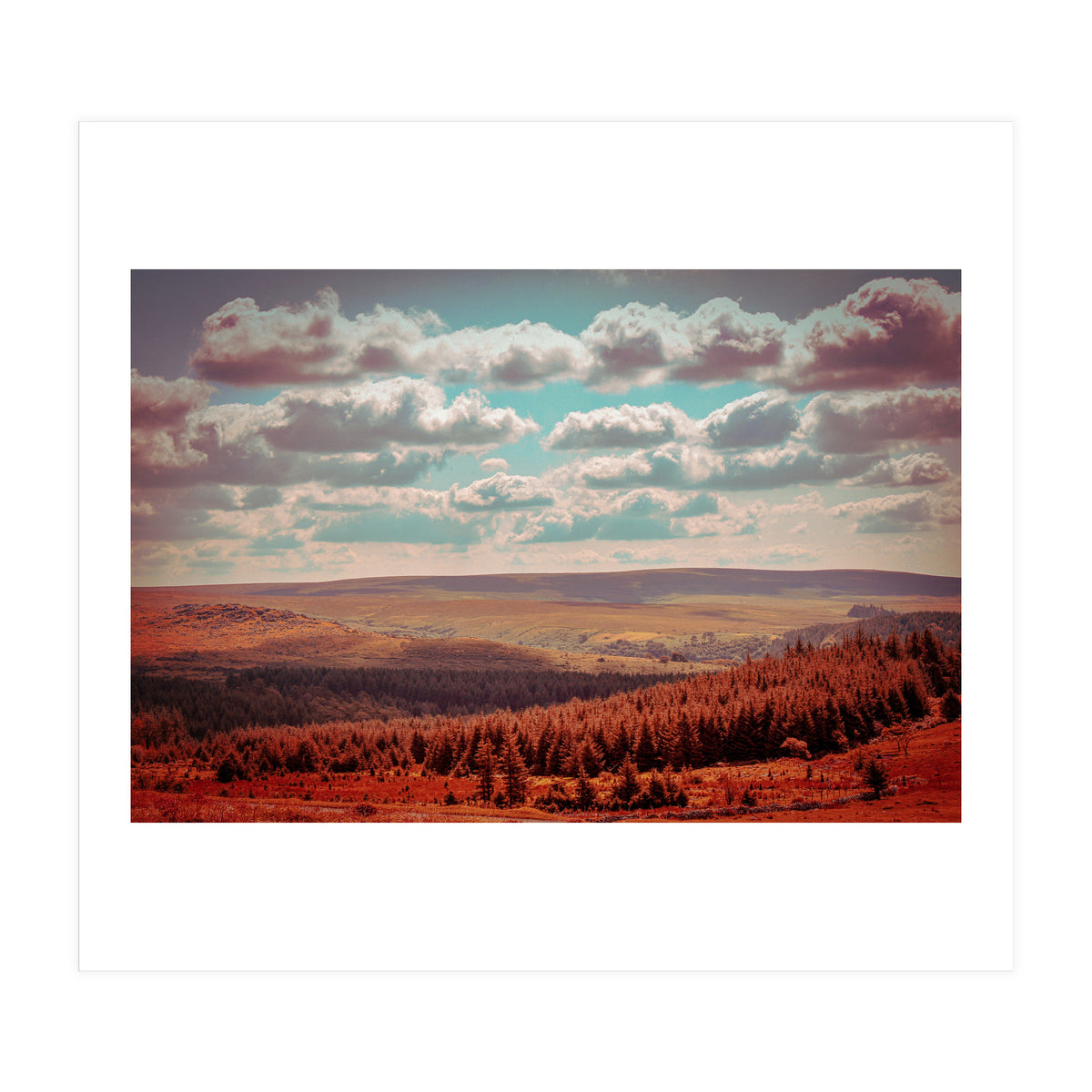 Dartmoor Forest (Print Only)