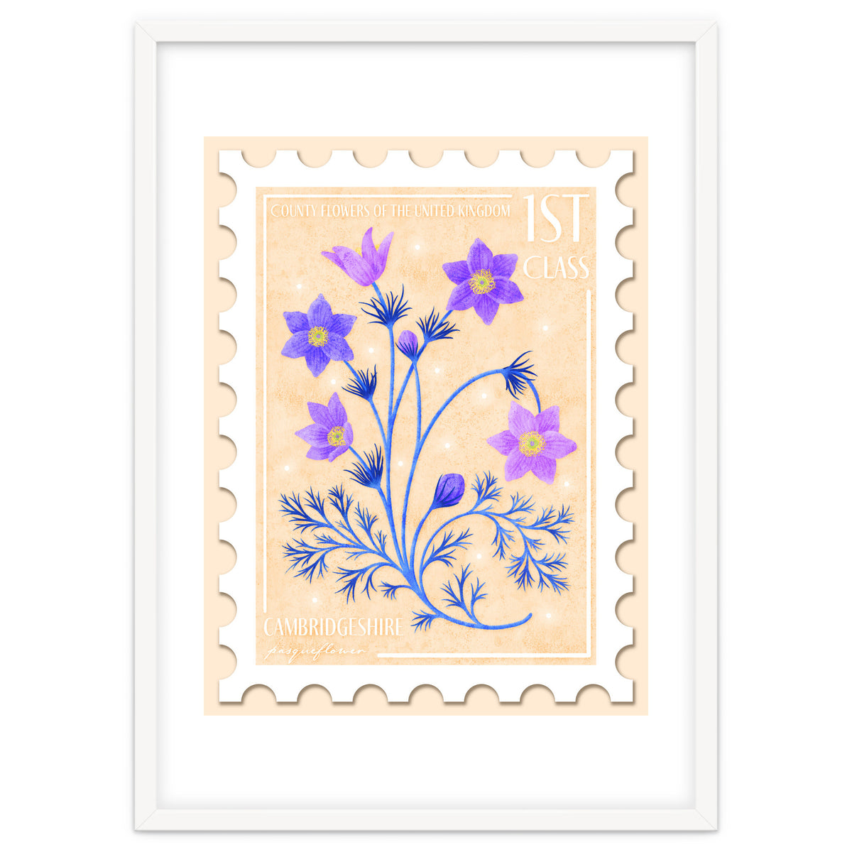 The Cambridgeshire Pasqueflower Postage Stamp