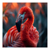 Vibrant Flamingo Close Up Portrait Outdoor Nature (Print Only) thumbnail