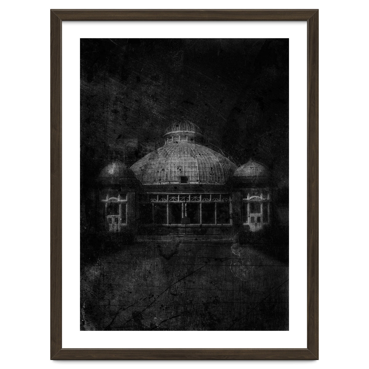 Allan Gardens Conservatory Palm House No 3 Old Film Version