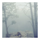 Silence of breath - 02 (Print Only) thumbnail