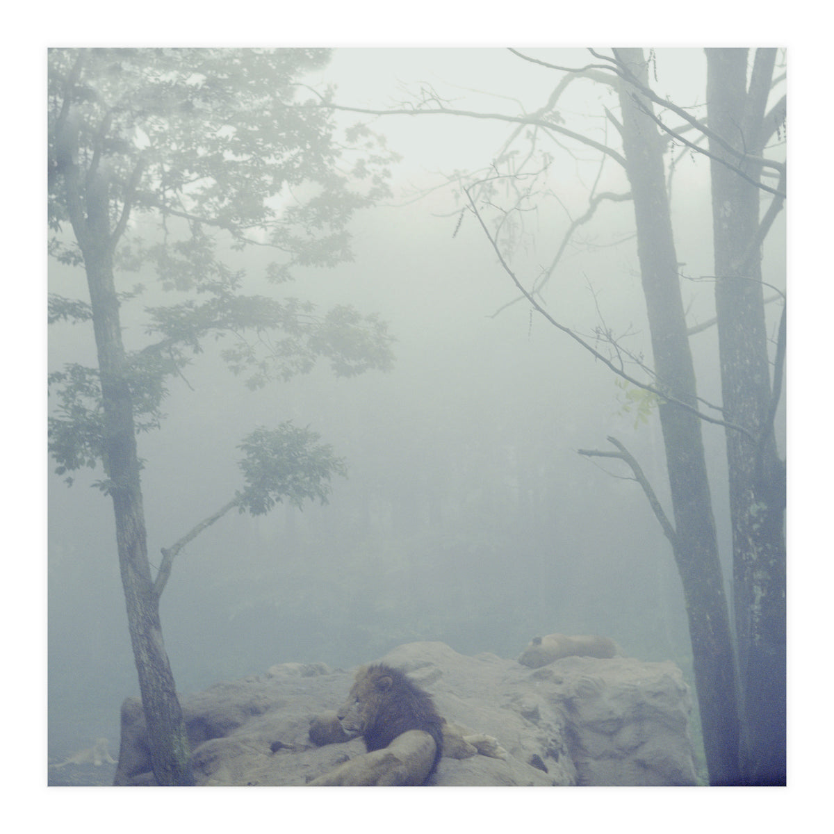 Silence of breath - 02 (Print Only)