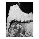 Vintage (Print Only) thumbnail