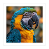 Blue And Yellow Macaw Parrot Close Up Portrait (Print Only) thumbnail