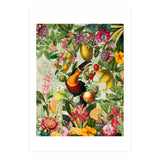 Toucan vintage jungle 1 (Print Only) thumbnail