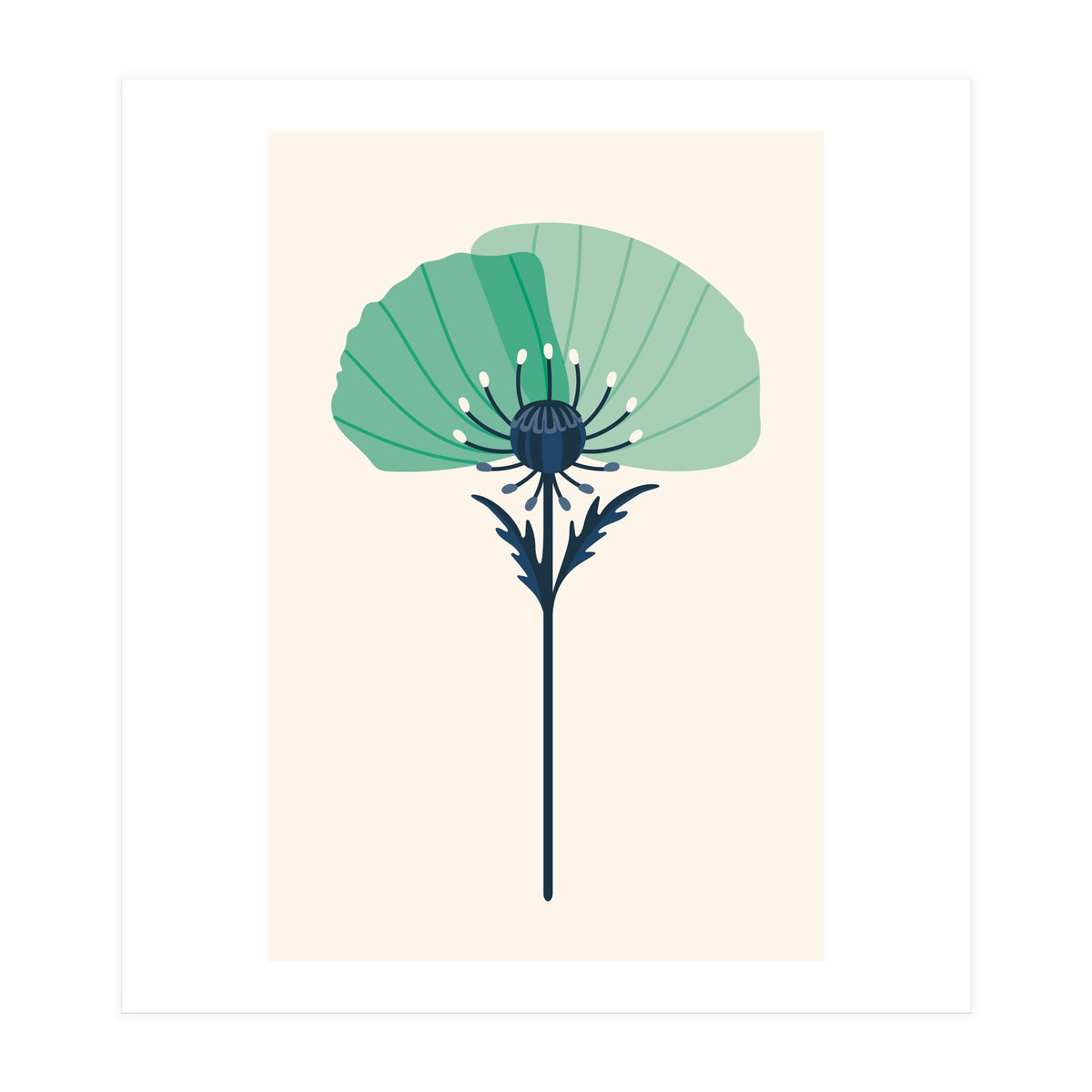 Teal Half Poppy (Print Only)