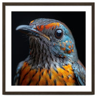 Close Up Of A Colorful Exotic Bird Head