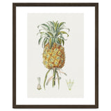 Pineapple (Hand Drawn Botanical Illustration) thumbnail