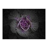 Backyard Flowers No 108 Color Version (Print Only) thumbnail
