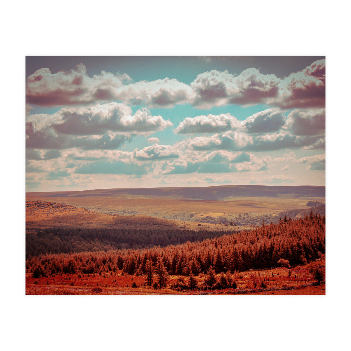 Dartmoor Forest (Print Only)