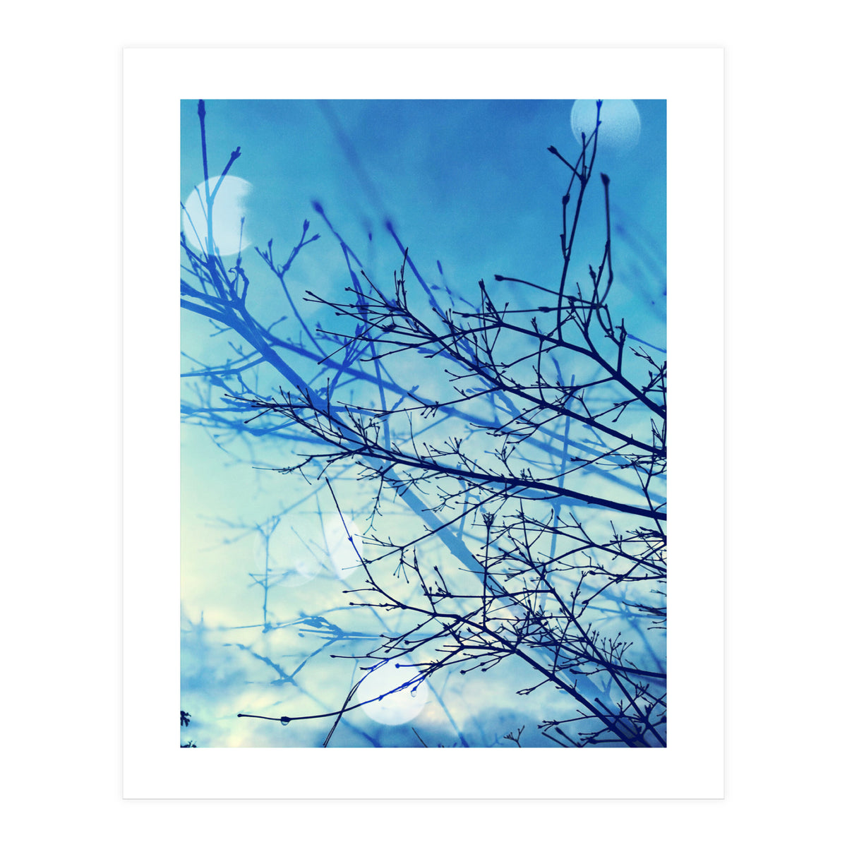 Winter (Print Only)