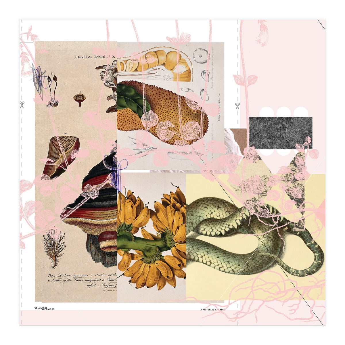 Abstract White Daydream Flower (Print Only)