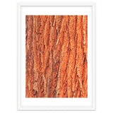 Tree Bark thumbnail
