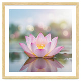Ethereal Lotus Bloom: Serene Botanical Reflection thumbnail