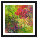 Garden thumbnail