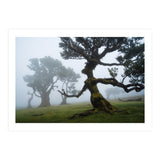 Forest queen (Print Only) thumbnail